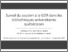[thumbnail of Survol-soutien-GDR-Qc.pdf]