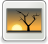 [thumbnail of Document _Fanny Gravel.docx]